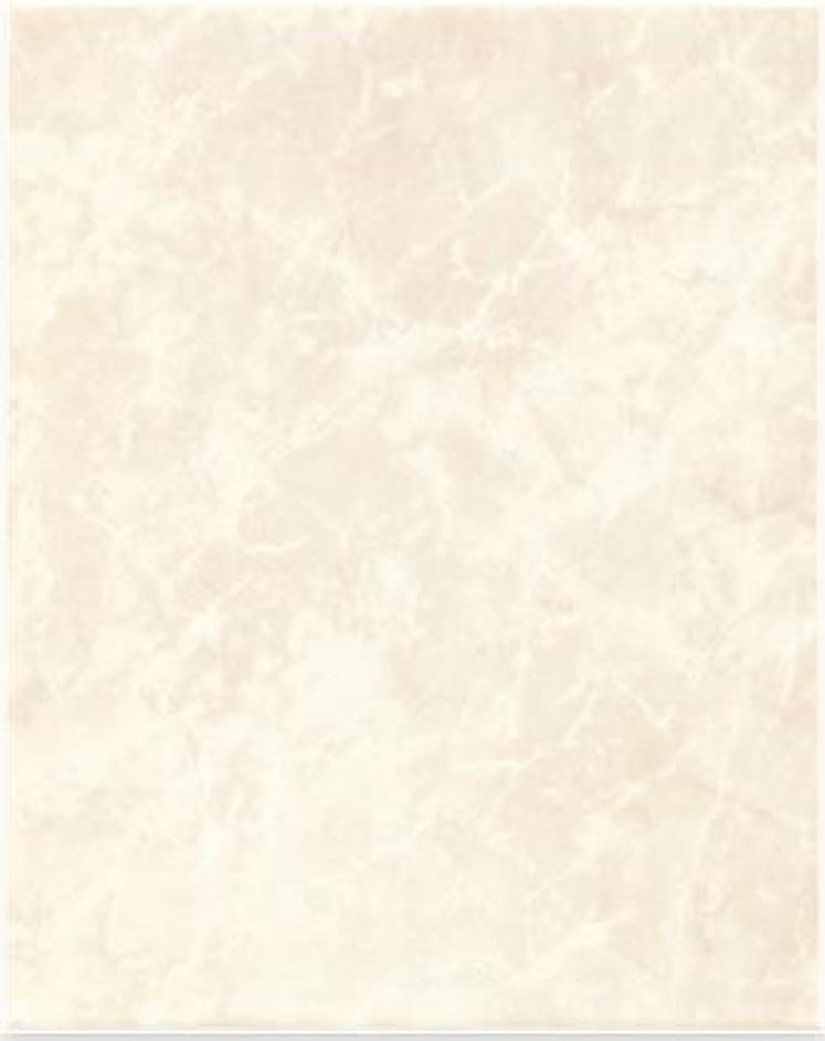 กระเบื้อง8x10 in. T-101 ภูสอยดาว 6