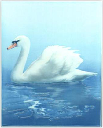 กระเบื้อง8x10 in. หงส์เหิน 7M1/1P