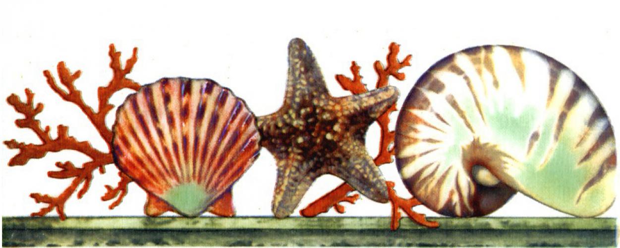 กระเบื้อง3.5x10 in. ซีบีส 6T1/1P